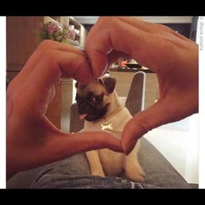 Meet your Posher, Tara